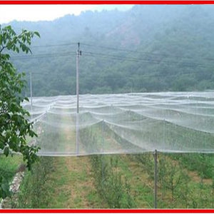 10m White Anti-bird Net Gardening net Grape Orchard Protection Net Loach Fishpond  Skynet Culture Net Customize your size